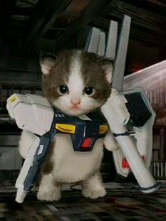 ガンダムに変身する猫